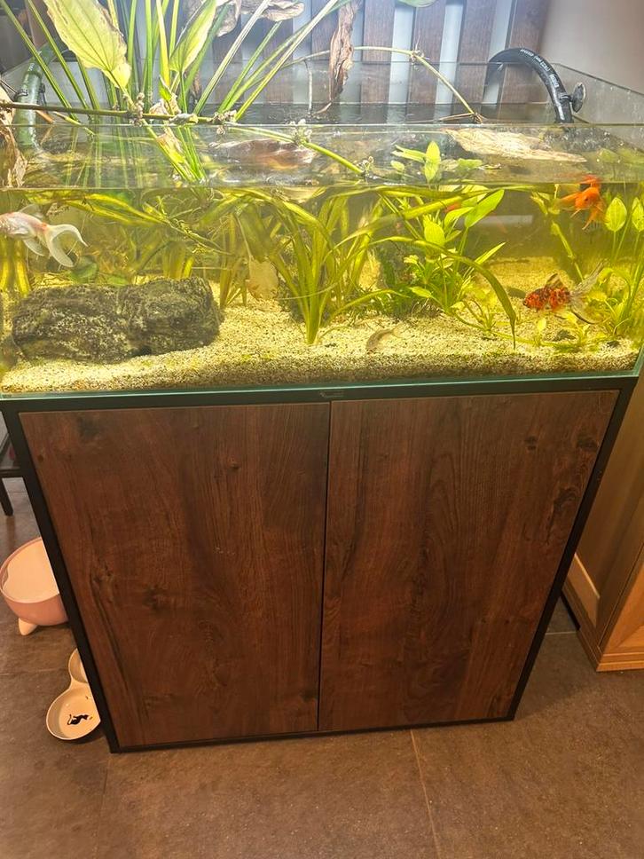 Aquarium te koop met pomp (geen vissen), Dieren en Toebehoren, Vissen | Aquaria en Toebehoren, Zo goed als nieuw, Ophalen