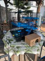 Hamsterkooi, Dieren en Toebehoren, Ophalen, Kooi