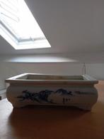 Chinese Bonsai, bloempot,, Ophalen of Verzenden