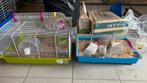 2 kooien hamster, Dieren en Toebehoren, Augustus, Meerdere dieren, Hamster