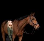 Verzorger/bijrijder gezocht, Dieren en Toebehoren, Paarden, Springpaard, 175 cm of meer, Gechipt, Ruin