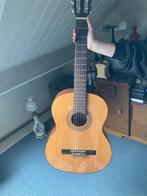 gitaar EKO, Muziek en Instrumenten, Ophalen of Verzenden, Gebruikt