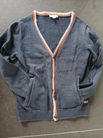 Gilet hampton bays, Kinderen en Baby's, Gebruikt, Hampton Bays, Trui of Vest, Ophalen of Verzenden