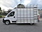 Fiat Ducato 2.2 Mjet 140pk Gelaste Alu Glas-/Raamdrager 2022, Auto's, Bestelwagens en Lichte vracht, Voorwielaandrijving, Used 1. Bestelwagens met ervaring.