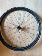 Roue vélo Fulcrum, Neuf, Fulcrum, Vélo de course, Enlèvement