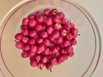 Decoratie appeltjes  beschikbaar voor biedingen