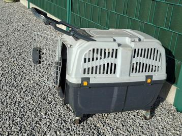 Transportbox Skudo beschikbaar voor biedingen