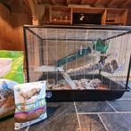 Knaagdierenkooi, Dieren en Toebehoren, Knaagdieren en Konijnen | Hokken en Kooien, Ophalen, Kooi, 110 cm of meer, 60 tot 90 cm