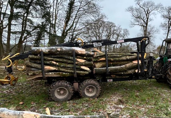 Bois de chauffage 2m et 4m, Jardin & Terrasse, Bois de chauffage, Troncs d'arbres, Frêne, Enlèvement ou Envoi