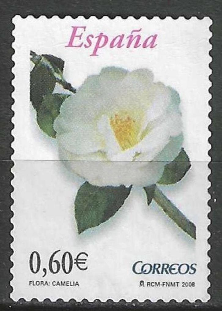 Spanje 2008 - Yvert 3989 - Camelia (ZG), Postzegels en Munten, Postzegels | Europa | Spanje, Verzenden