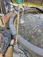 Cause santé dois me séparer de mes 2 bassins 500 L et 4000 L, Tuin en Terras, Vijvers, Ophalen, Zo goed als nieuw