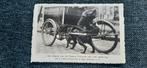BOULANGER AVEC CHARIOT POUR CHIEN, Collections, Photos & Gravures, Enlèvement ou Envoi