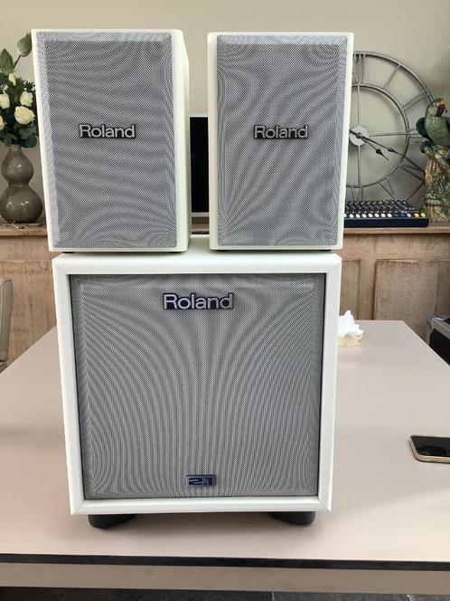 Roland CM-110 instrument monitor versterker wit, Muziek en Instrumenten, Versterkers | Keyboard, Monitor en PA, Zo goed als nieuw