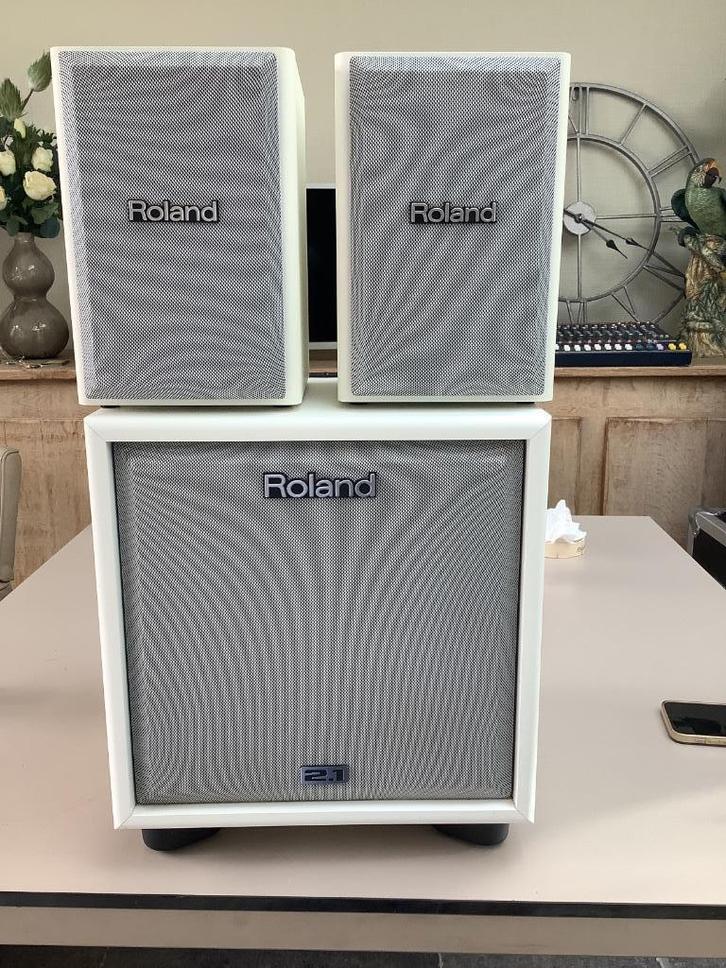 Roland CM-110 instrument monitor versterker wit, Muziek en Instrumenten, Versterkers | Keyboard, Monitor en PA, Zo goed als nieuw