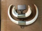 Trophee, Ophalen, Wild dier