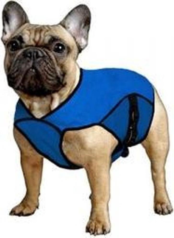 Acqua Coolkeeper Jackets, Dieren en Toebehoren, Hondenkleding, Nieuw, Hondenvest, Ophalen of Verzenden