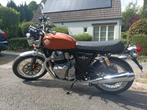 Royal Enfield Interceptor 650cc, Motoren, Motoren | Royal Enfield, 2 cilinders, Particulier, Overig, Minimaal motorrijbewijs A2
