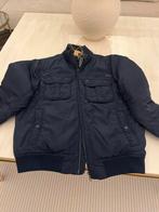 Doudoune tommys, Ophalen, Tommy Hilfiger, Gedragen, Maat 48/50 (M)