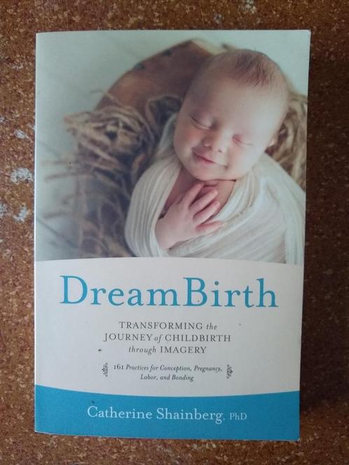 DreamBirth: Transforming the Journey of Childbirth, Livres, Grossesse & Éducation, Comme neuf, Grossesse et accouchement, Enlèvement ou Envoi