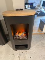 Elektrische haard Faber natur 120, Enlèvement, Neuf, Cheminée sur pied, Cheminée électrique