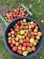 Appels eigen kweek, Ophalen