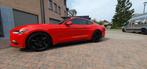 Te koop Ford mustang 2.3 ecoboost fastback.Full option, Auto's, Automaat, 4 zetels, Achterwielaandrijving, 2300 cc