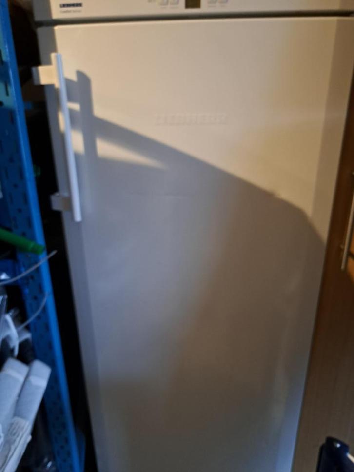 Diepvriezer Liebherr 145 cm, Elektronische apparatuur, Vriezers en Diepvrieskisten, Zo goed als nieuw, Vrijstaand, Vrieskast, 140 tot 160 cm