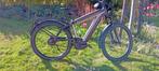 Riese en Muller Supercharger GT fiets je rijk met pedelec, Fietsen en Brommers, Elektrische fietsen, Zo goed als nieuw, 47 tot 51 cm