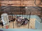 Cavia benodigdheden, Ophalen, Zo goed als nieuw, Hok, Cavia