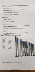 Veiligheidscilinderbevestigingsbout- sloten (RVS/Chrome), Doe-het-zelf en Bouw, Ophalen, Nieuw, Inox, Slot