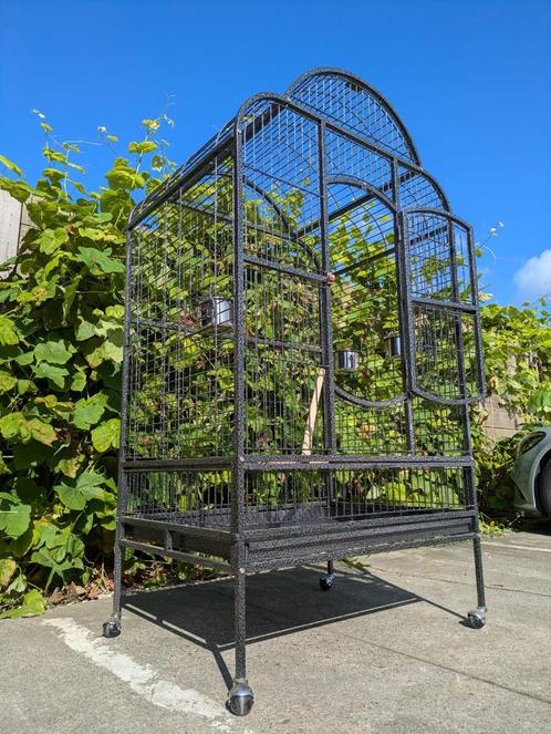 papegaaienkooi Bora - 200, Dieren en Toebehoren, Vogels | Hokken en Kooien, Nieuw, Vogelkooi, Metaal, Ophalen of Verzenden