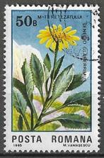 Roemenie 1985 - Yvert 3599 - Senecio glaberrimus (ST), Timbres & Monnaies, Timbres | Europe | Autre, Affranchi, Envoi, Autres pays