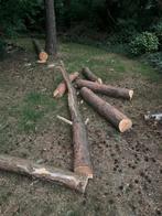 Mooi stamhout, gisteren omgezaagd 5 bomen, Tuin en Terras, Ophalen, Stammen