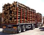 bois de chauffage 2 mètres, Autres essences de bois, Enlèvement ou Envoi, Bûches