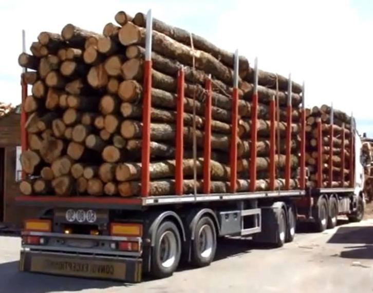 bois de chauffage 2 mètres, Tuin en Terras, Brandhout, Blokken, Eikenhout, Ophalen