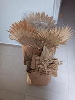 feuilles de palmier séchées, Enlèvement, Neuf