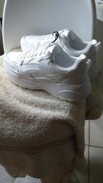 Chaussures Pull and Bear 39, Vêtements | Femmes, Chaussures, Chaussures de marche, Enlèvement, Blanc, Neuf