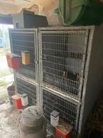 Metalen kooien, Dieren en Toebehoren, Ophalen