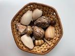 Mandje schelpen met tijgerkauri en cypraea talpa, Ophalen, Schelp(en)