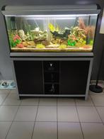 modern aquarium  nog te koop, Dieren en Toebehoren, Ophalen of Verzenden, Zo goed als nieuw, Gevuld zoetwateraquarium
