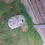 Parasolvoet, Tuin en Terras, Ophalen, Parasolvoet