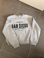 Only, maat L, Kleding | Dames, Truien en Vesten, Ophalen of Verzenden, Zo goed als nieuw, Maat 42/44 (L)