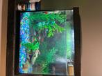 aquarium, Dieren en Toebehoren, Vissen | Aquaria en Toebehoren, Ophalen, Zo goed als nieuw, Gevuld zoetwateraquarium