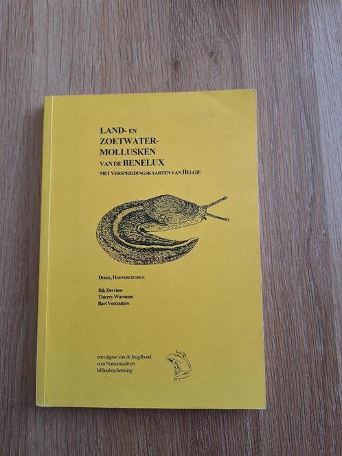 Land-en zoetwatermollusken van de Benelux - Determinatiegids, Verzamelen, Mineralen en Fossielen, Schelp(en), Ophalen of Verzenden