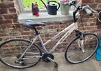 MINERVA OMNI - X damesFIETS., Fietsen en Brommers, Fietsen | Mountainbikes en ATB, Ophalen, Gebruikt, Dames, Overige merken