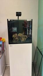 Red sea aquarium (zoutwater Aquarium), Ophalen, Zo goed als nieuw