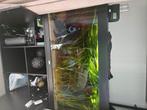 Aquarium 120cmx50cm jewel 400€ of een goed bod, Dieren en Toebehoren, Vissen | Aquaria en Toebehoren, Ophalen, Gebruikt, Gevuld zoetwateraquarium