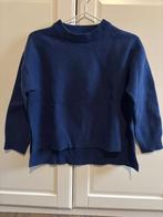 Trui Massimo Dutti - maat L, Kleding | Dames, Massimo Dutti, Blauw, Maat 42/44 (L), Ophalen of Verzenden