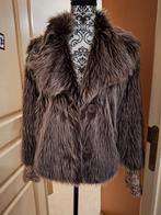 Bodywarmers, Ophalen of Verzenden, Gedragen