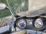 Mash Belena 300cc, Scooter, 300 cc, Bedrijf, Minimaal motorrijbewijs A2